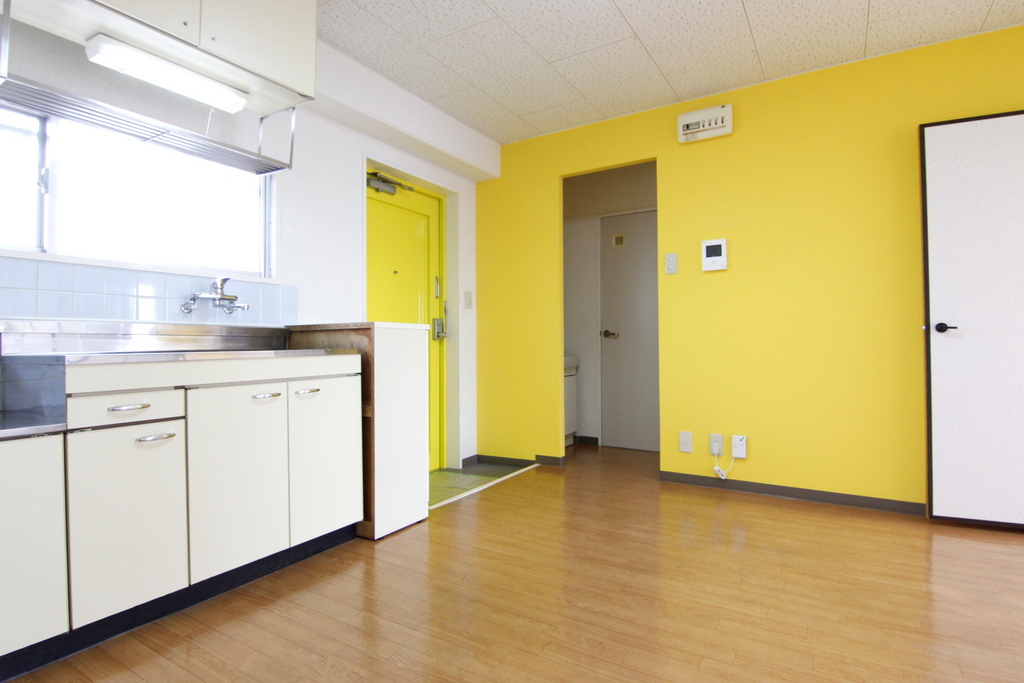 フレニール45 Y3 - 8