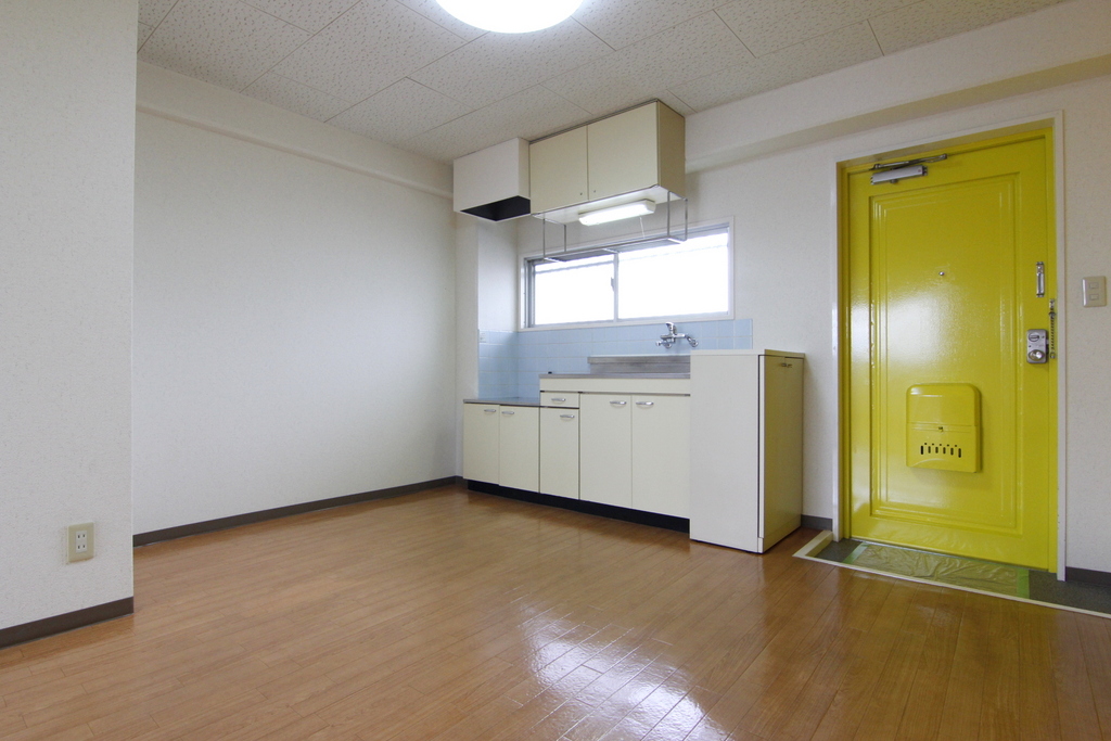 フレニール45 Y3 - 9