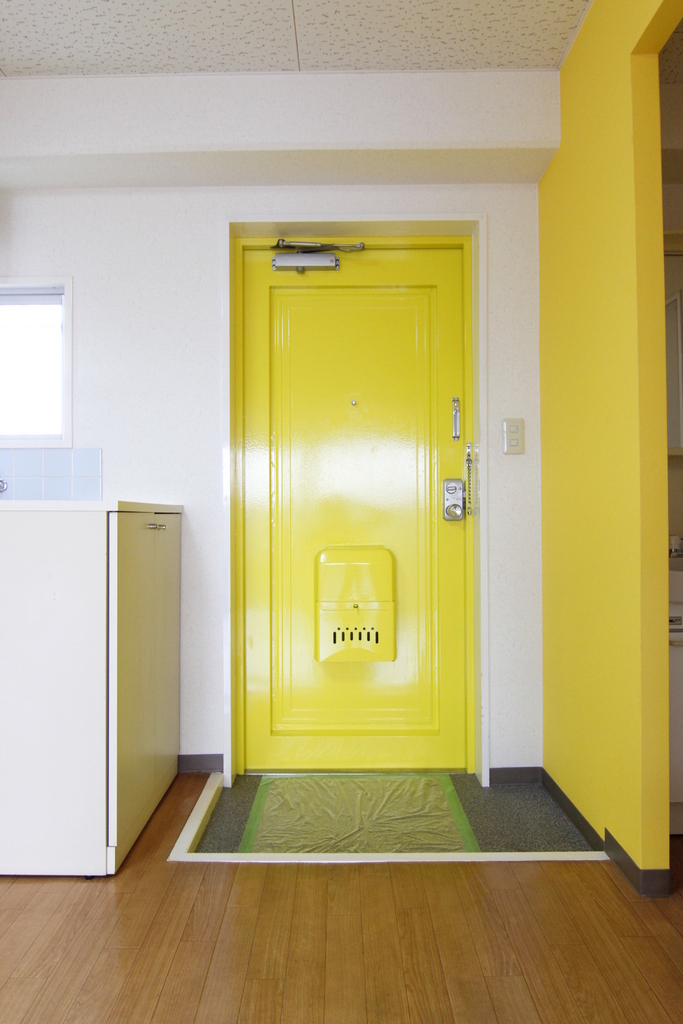 フレニール45 Y3 - 12